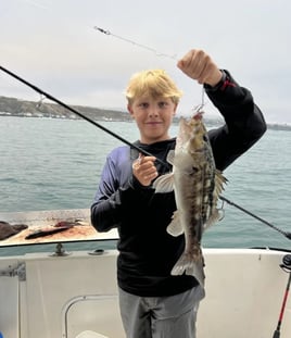 SPORTFISHING or SHARKING or BOTH