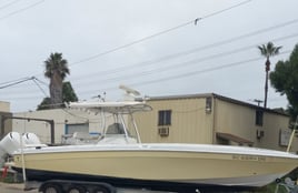 SPORTFISHING or SHARKING or BOTH