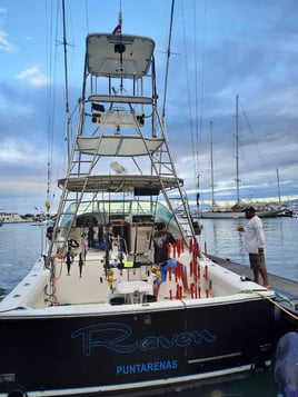 Raven - Full Day Offshore