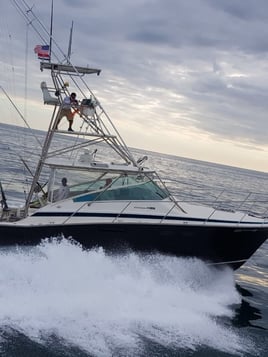 Raven - Full Day Offshore