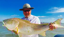 UFC Special – Redfish/Shark/Tarpon