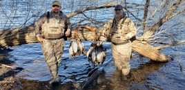 Duck Hunts