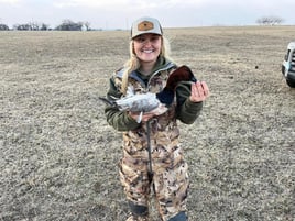 Duck Hunts