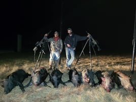 Hog Hunting in Rising Star, Texas