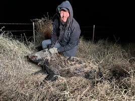 Hog Hunting in Rising Star, Texas