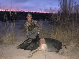 Hog Hunting in West, Texas