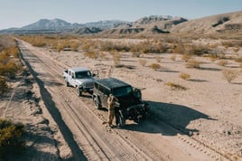West Texas Dove Hunts