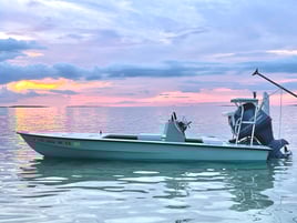 Tarpon on natural bait