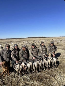 Arkansas Goose Hunts