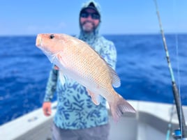 Mangrove Snapper Fishing in Miami Beach, Florida