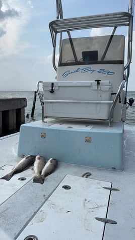 Bay fishing