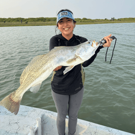 Bay Fishing Port Isabel