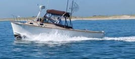 5 hour 1/2 Day Inshore trip