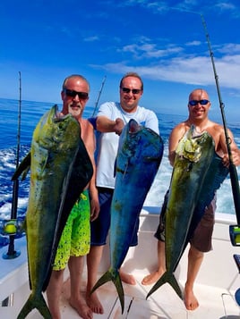 Mahi Mahi Fishing in Playa Herradura, Costa Rica