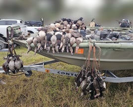 Duck Hunting 