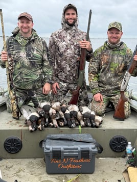 Duck Hunting 