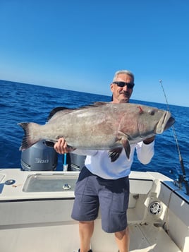Black Grouper Fishing in Key West, Florida