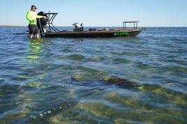 Full Day Fly Fishing/ Conventional sight fishing