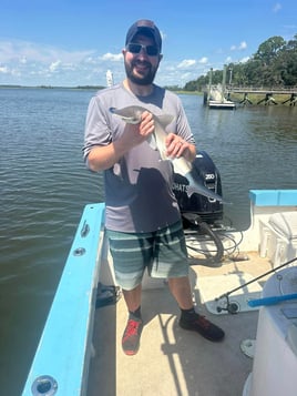 Half Day Trip – Shark Fishing