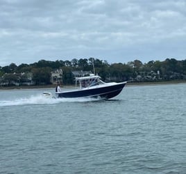 Inshore Fishing Trip