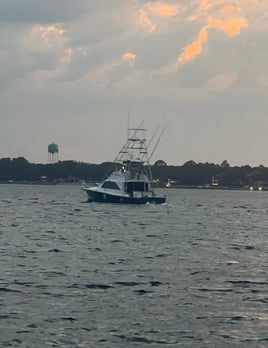 4 hour beginner trip