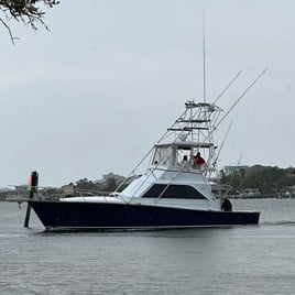 6 hour offshore