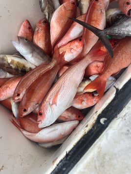 10 hour extended offshore