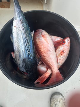 10 hour extended offshore