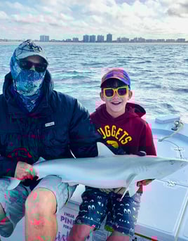 Shark Fishing Gulf of Mexico