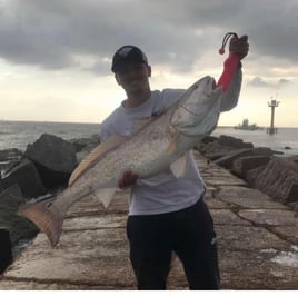 Bull Red Jetty Adventure