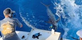 48 Hour Deep Sea - 55' Viking with Chef