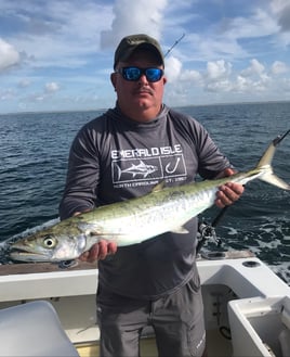 Full Day Bottom Fishing