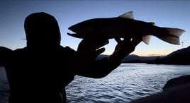 Shoreline Spin-casting for Trout