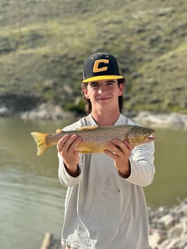 Shoreline Spin-casting for Trout