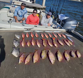 4hr offshore
