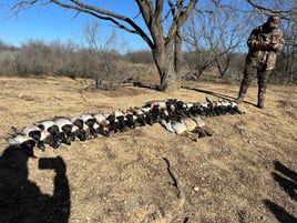 Temple Texas Duck Hunts w/ Lodging & Meals