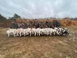 Arkansas Conservation Snow Goose Hunts