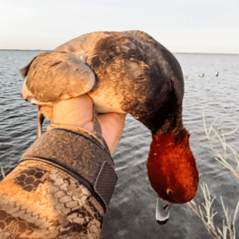 Waterfowl Hunts