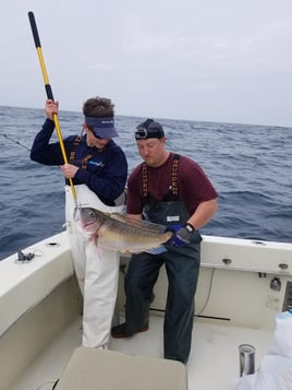 12 Hour Trip – Offshore Trip