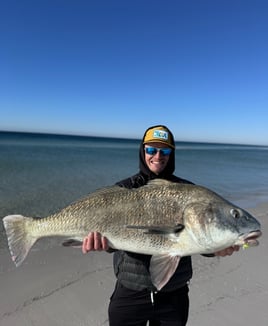 Black Drum Fishing in Santa Rosa Beach, Florida