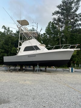 Destin Offshore Fishing