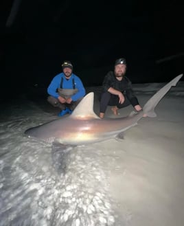 12 Hour Land Based Shark Fishing Trip!