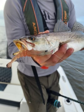 Inshore Grand Slam