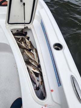 Inshore Grand Slam