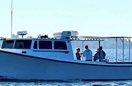 Full Day Bottom Fishing Trips