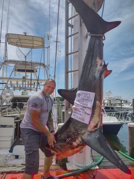 SHARK FISHING