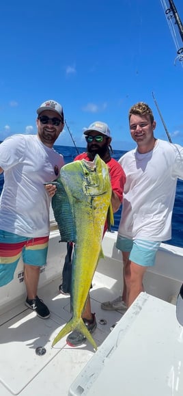 Mahi Mahi Fishing in Key West, Florida