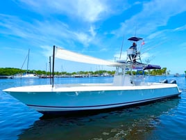 Luxury Offshore Trolling, Kite Fishing, and Bottom Fishing