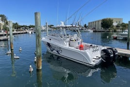 Lobstering & Snorkeling