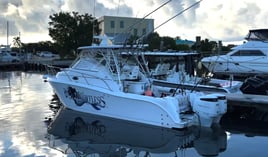 Snorkel & Fish Combo